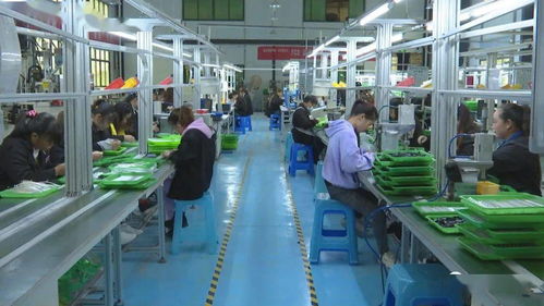 订单式生产与电商运营双轮驱动，安龙电子产品产业前景广阔