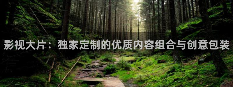 韩国影视免费在线观看：影视大片：独家定制的优质内容组合与创意包装