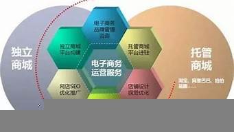 电商专业学习内容 电子商务运营服务全解析