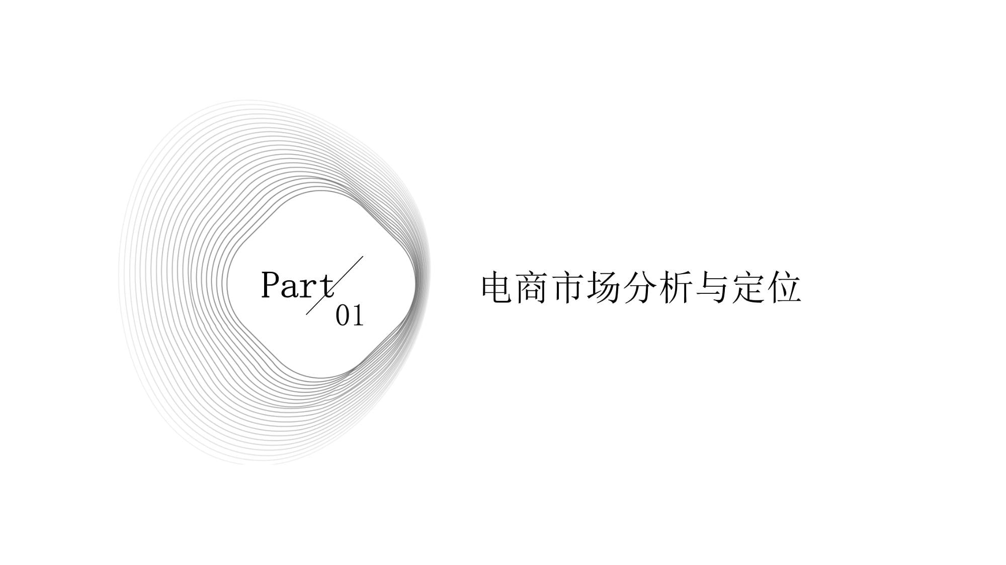 电商年度运营规划 打造高效电子商务运营服务体系