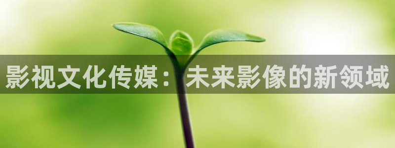 八戒韩国影视：影视文化传媒：未来影像的新领域