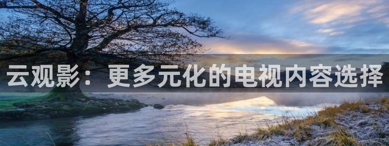 韩国影视电影：云观影：更多元化的电视内容选择