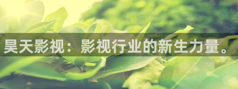 韩国影视免费观看：昊天影视：影视行业的新生力量。