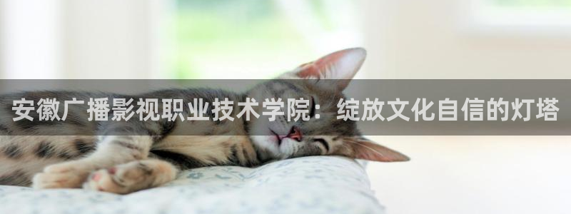必胜韩国影视：安徽广播影视职业技术学院：绽放文化自信的灯塔
