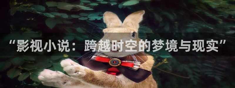 穿梭在韩国影视世界的小说：“影视小说：跨越时空的梦境与现实”
