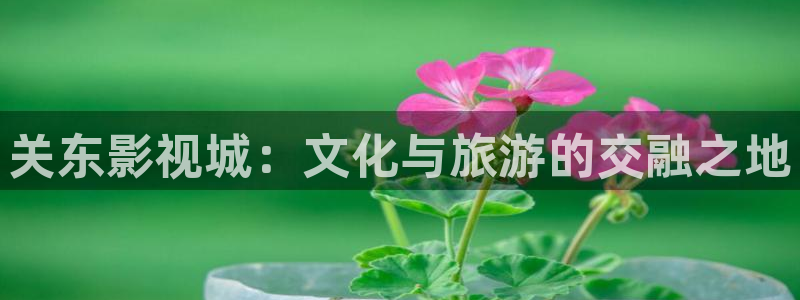 韩国影视在线免费观看：关东影视城：文化与旅游的交融之地