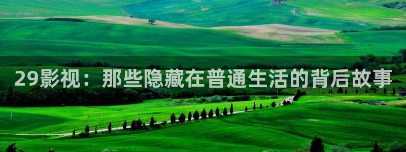韩国影视免费观看：29影视：那些隐藏在普通生活的背后故事